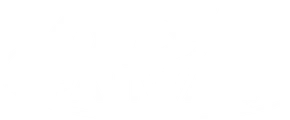 DS Paliwa – logo klienta OlekCodeTech