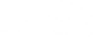 LidioStyl – logo klienta OlekCodeTech